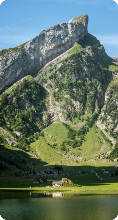 Suisse